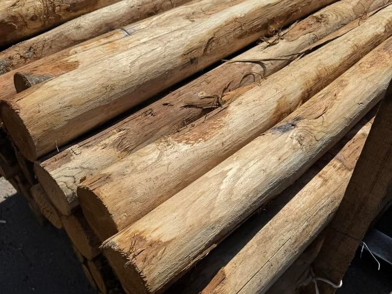 Acacia Wood Stakes — Sertifikuoti miškai VšĮ European supply