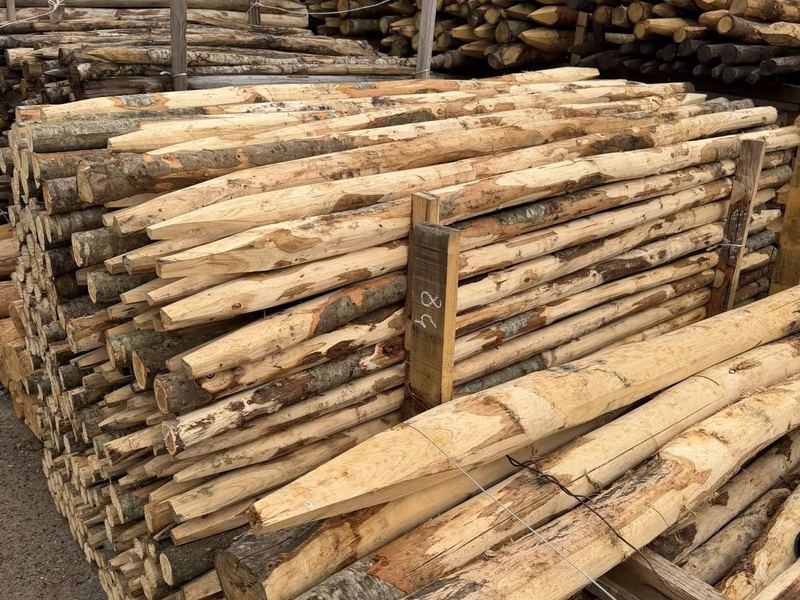 Acacia stakes stacked in yard
