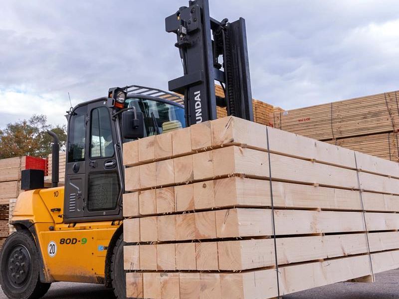 Timber & Sawn Wood — Sertifikuoti miškai VšĮ European supply